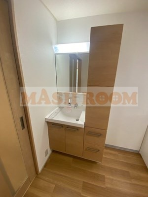 日信コーポの独立洗面台