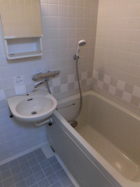 ライオンズマンション高円寺第二の洗面所