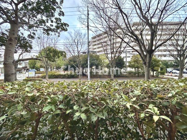 アーベントハイム葛西臨海公園の展望|眺望