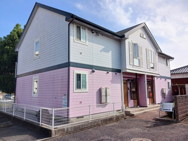 チェリー吉田の画像