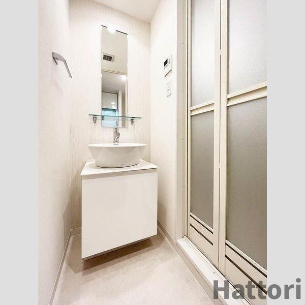 S-RESIDENCE難波Brillerの洗面所