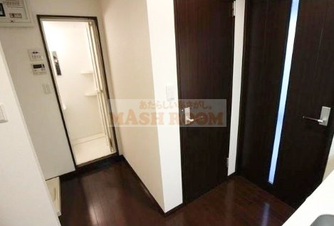 Rev　Refays　BB　レヴリファイズBB