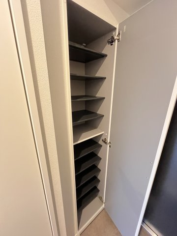 大阪市城東区野江４丁目の賃貸マンションの玄関