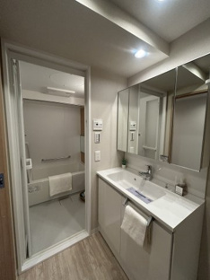 【独立洗面台】サンリット大袋 