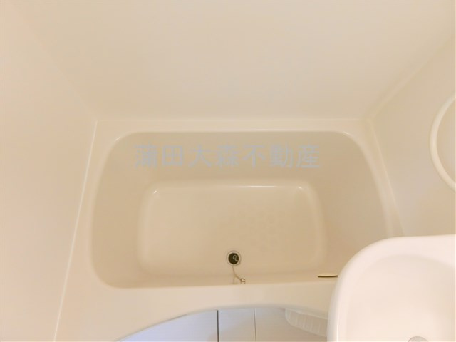 テラス久が原の洗面所