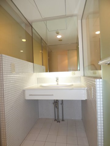 リッツスクエアⅡの洗面所