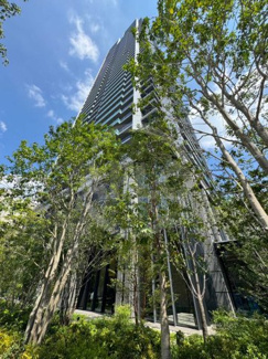【外観】 | シエリアタワー大阪堀江　日吉小学校 | シエリアタワー大阪堀江　外観