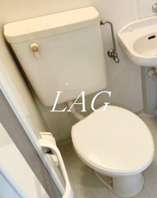 【トイレ】 | ツリーサイドＡ・Ｂ錦糸町 | トイレです。