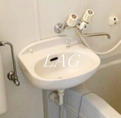 【洗面所】 | ツリーサイドＡ・Ｂ錦糸町 | 洗面台です。