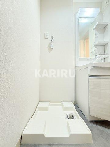 Ｆ　Ｎｏｒｍａｌｉｓ　ＳＥＡＭのその他