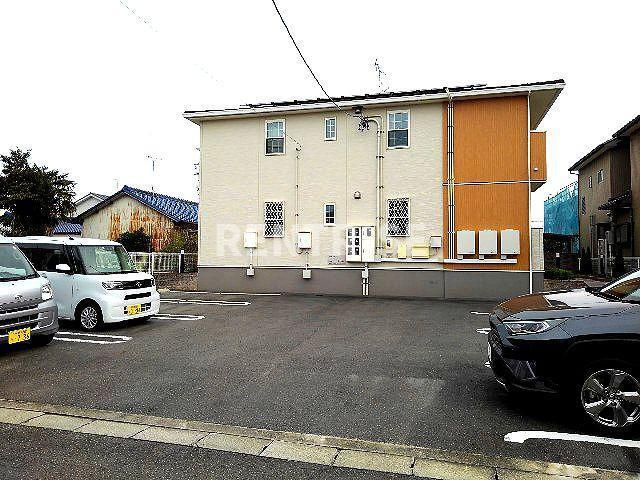 ムース　ジョーハイツ