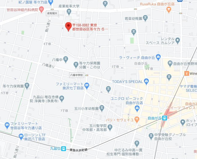 ヒルズ等々力Ⅱの地図