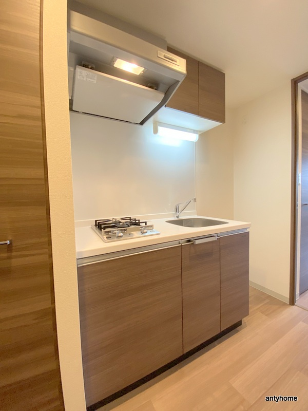 プレサンス高津公園ディオ　仲介手数料無料のキッチン