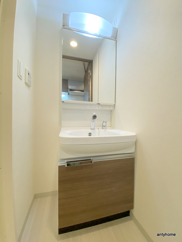 プレサンス高津公園ディオ　仲介手数料無料の洗面所