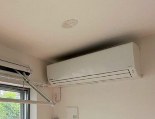 【その他】 | Fortunato