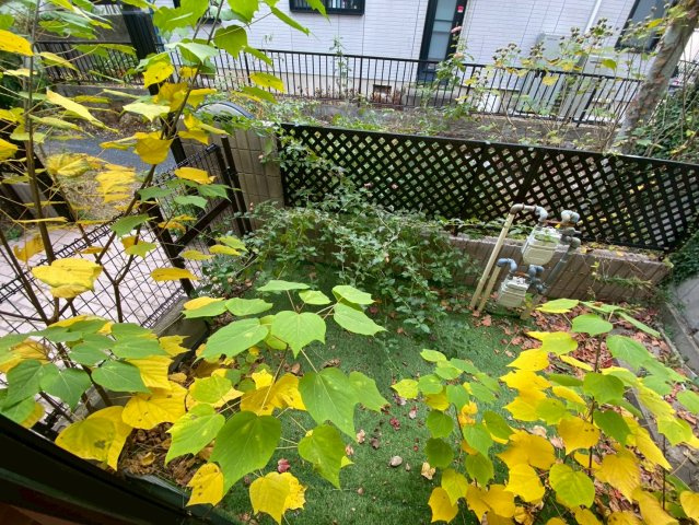 ハイツあじさいのバルコニー