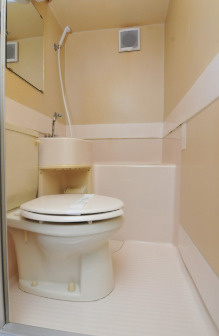 メゾン・ド・原宿の浴室