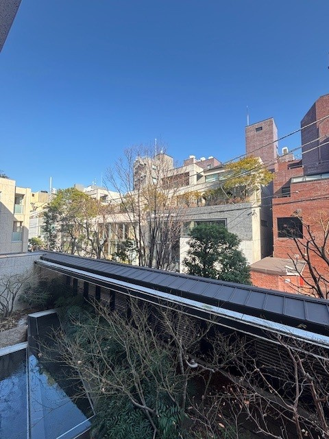 ザ・パークハウスグラン南青山の展望