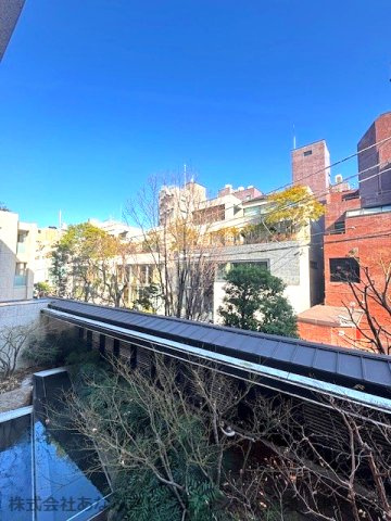 ザ・パークハウスグラン南青山の展望