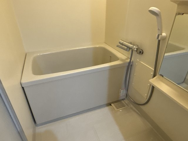 メゾン白国２号の浴室