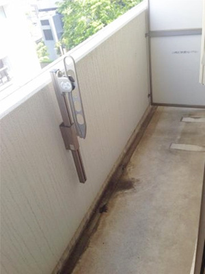 【バルコニー】 | 藤アリビオ | 同じ仕様