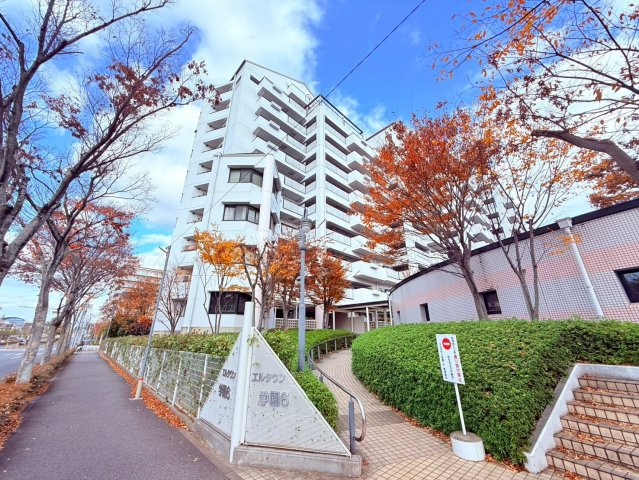 エルタウン学園Ⅵ