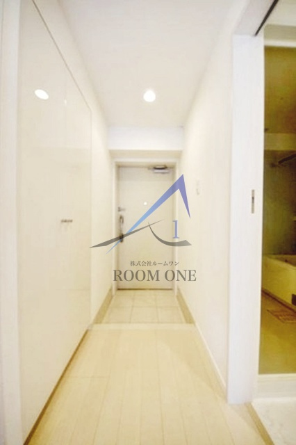 ライジングプレイス両国三番館の玄関|玄関です。