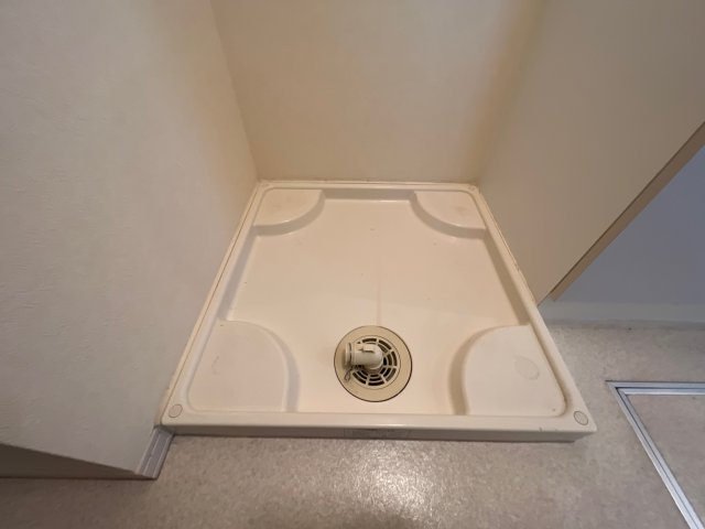 ダンディライオンのその他