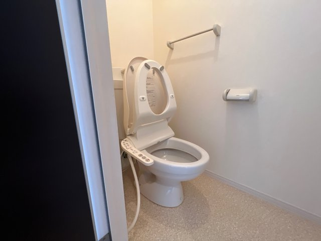 ダンディライオンのトイレ