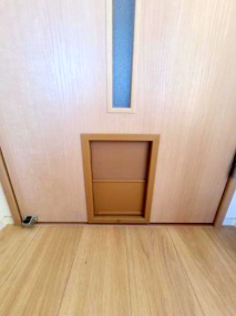 【その他】 | フォーチュン和泉