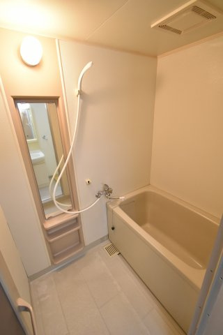 ルミエール泉の浴室