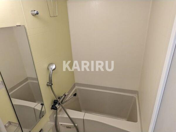 レジュールアッシュ桜宮リバーテラスの浴室