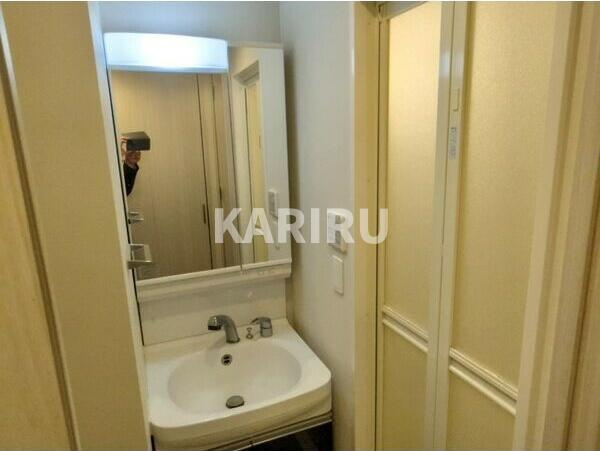 レジュールアッシュ桜宮リバーテラスの洗面所