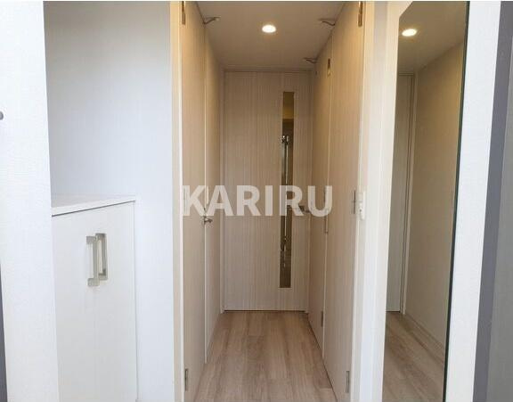 レジュールアッシュ桜宮リバーテラスの収納