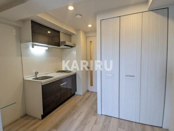 レジュールアッシュ桜宮リバーテラスの収納