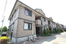 Y-グレースの画像