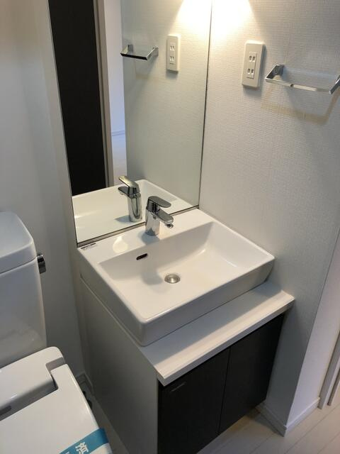 ル・リオン五反田の洗面所