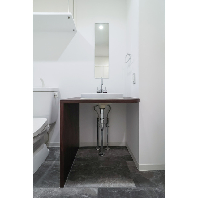 アーデンタワー南堀江の洗面所