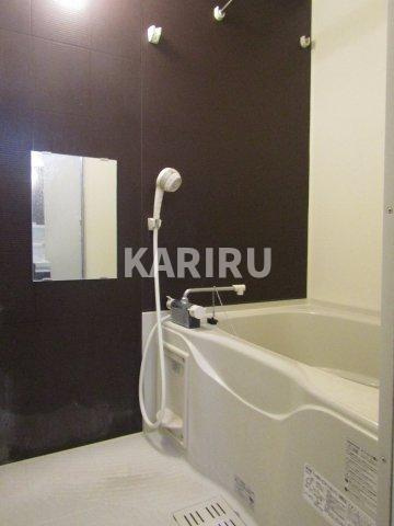 フジパレス鶴見Ⅱ番館 の浴室