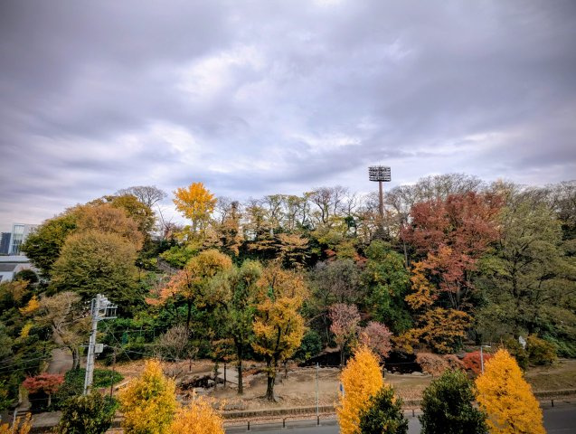 小豆沢パークファミリアA棟の展望|小豆沢公園を望む眺望
