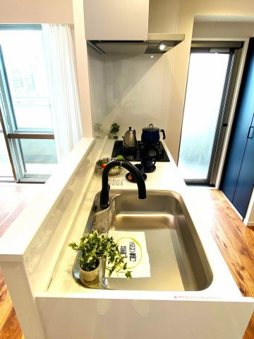 ライオンズステーションプラザ入谷　10Fのキッチン