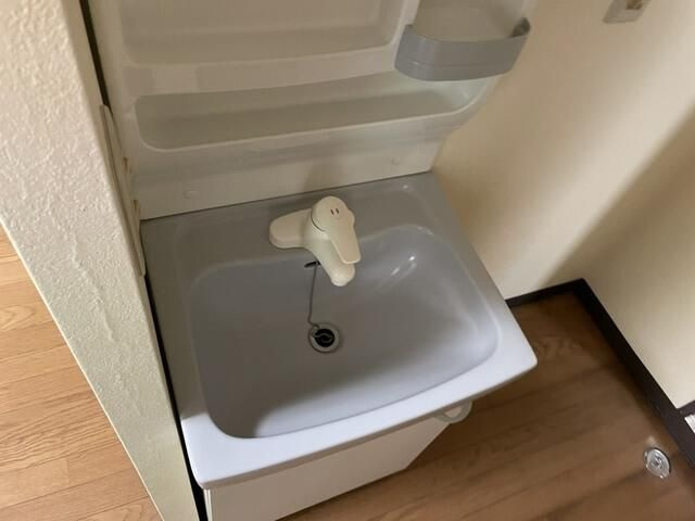 グランドエトワールⅡの洗面所