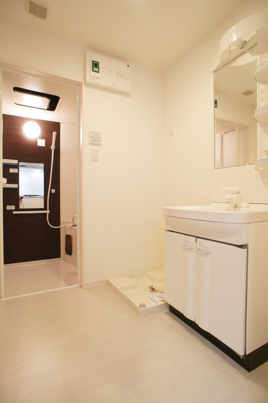 リブリ・BYZOの洗面所