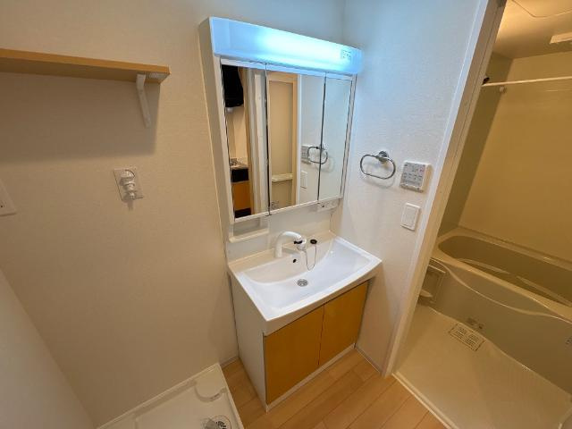 サンフォレスト杉水の洗面所|シャンプードレッサー