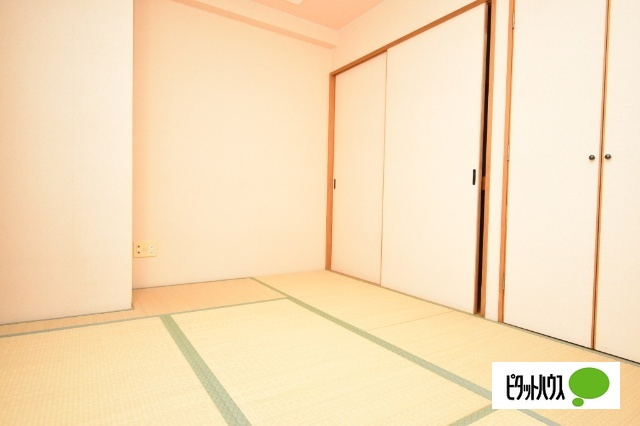 ADVANCE NAGAI Ⅲのその他