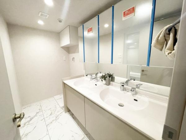 東急ドエルアルス弦巻１号棟の独立洗面台