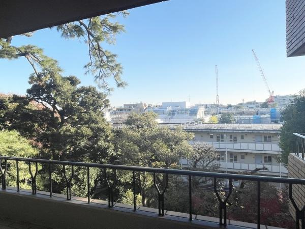 東急ドエルアルス弦巻１号棟のその他