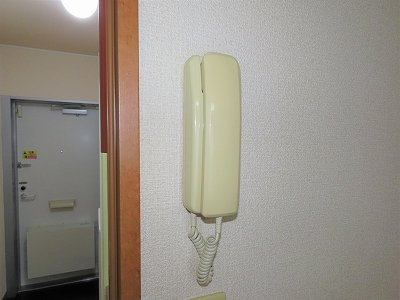 レオパレスエバーグリーンのその他|インターホンあり