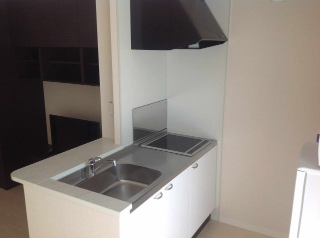 レオネクスト日向根のキッチン