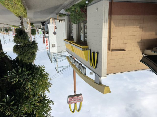 【周辺】 | レオパレスコスモス